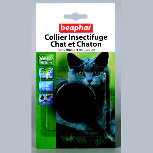 Traitements Naturels Anti Puce Du Chat Ou Du Chien