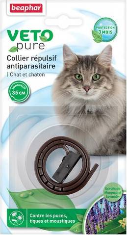 collier insectifuge chats